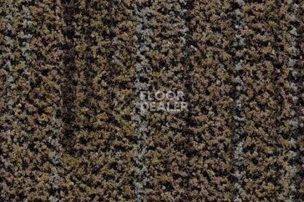 Грязезащитные покрытия Forbo Coral Brush 5764 petrified grey фото 1 | FLOORDEALER